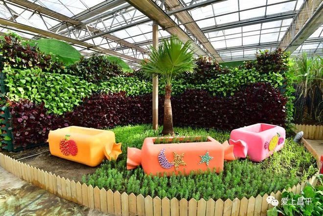 在趣味化的游覽過程中全面了解糖的科普知識,熟知各種糖料作物,制糖