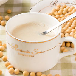 智力中老年未添加白砂糖豆奶粉700克 袋