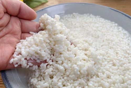 江米涼糕的做法 糯米做涼糕不黏不拉絲怎么做